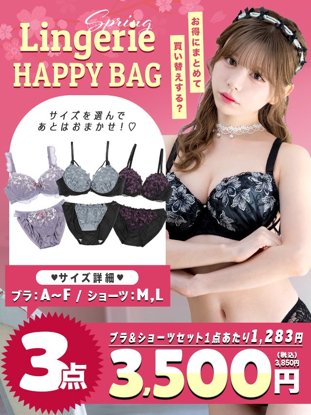  [LINGERIE HAPPY BAG] ランジェリー3点セット(ブラジャー＆ショーツ3点セット)