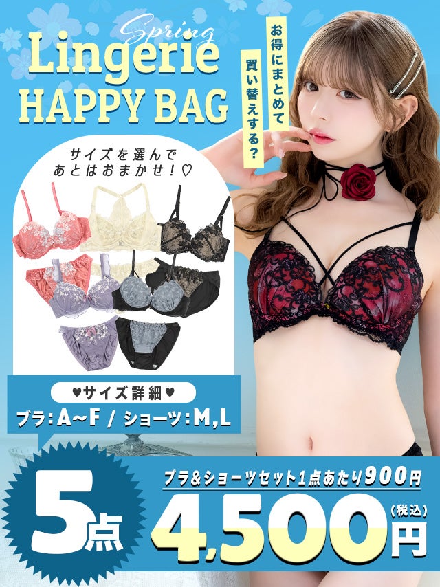 [LINGERIE HAPPY BAG] ランジェリー5点セット(ブラジャー＆ショーツ5点セット)
